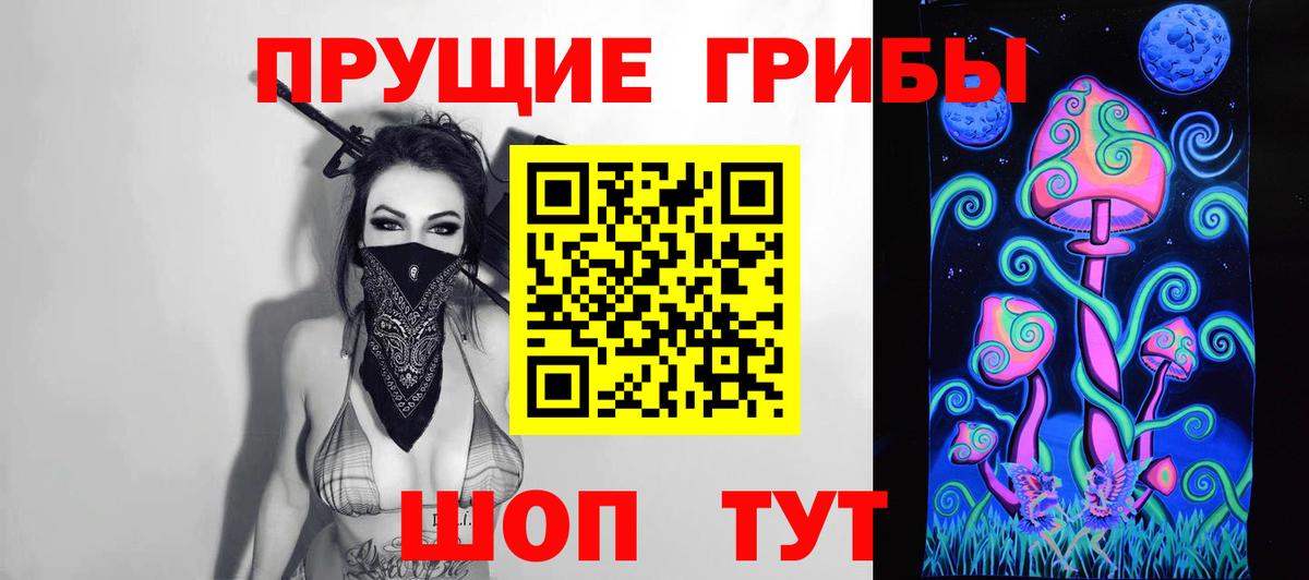 Псилоцибиновые грибы Cubensis Старая Купавна