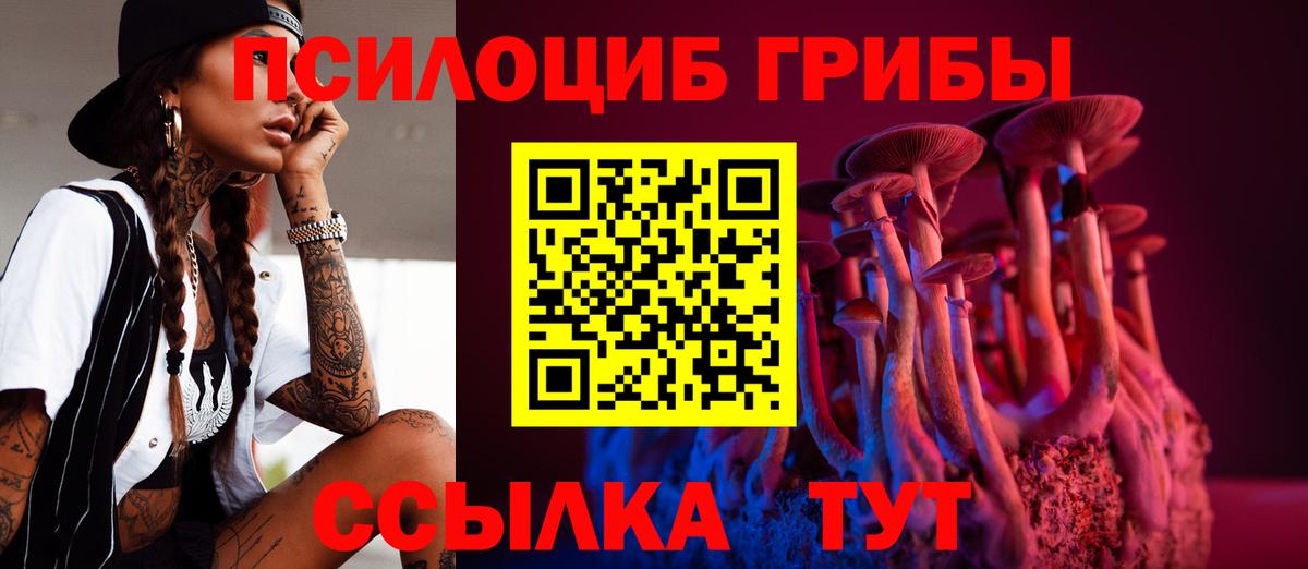 Старая Купавна  Галлюциногенные грибы Cubensis  Вход с VPN  Галлюциногенные грибы Psilocybine cubensis 